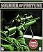 Soldier of Fortune (Linux)