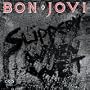 Bon Jovi: Slippery When Wet