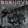 Bon Jovi: Slippery When Wet ~ Bon Jovi