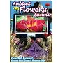 Ambient Flowers: Summer - Ultimate Video Garden & Reference DVD