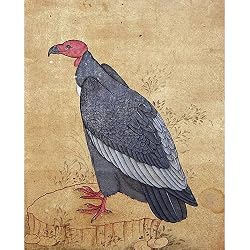 Indian Folk Art Miniatures Paintings Drawings Gift for Son