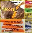 "NO DOGS" Orange Colour Coded Non-Pull Nylon Dog Harness & Padded Lead Set (NOT GOOD WITH OTHER DOGS) PREVENTS Dog Accidents By Warning Others Of Your Dog In Advance! Strong As Leather & Chain by Dexil