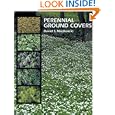 Perennial Ground Covers