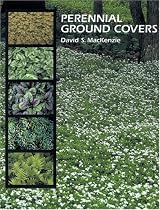 Perennial Ground Covers
