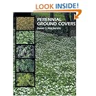 Perennial Ground Covers by David MacKenzie