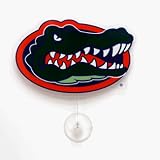 Florida Gators Fan Wave **