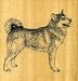 ALASKAN MALAMUTE Rubber Stamp