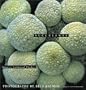 Succulents: Nature's Sculptural Wonders