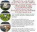 Book Massive Cash Flow Pack with Earn More Money, Inner Game and eCommerce for Customized Ipod Carrying Cases Internet Businesses 3 CD Power Pack