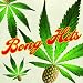Because I Got High [Explicit] cover