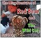 Red Bear and the Wild Cats (The Misadventures of Red Bear)