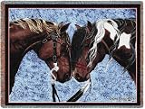 Warriors Truce Throw - 54 x 70 Blanket/Throw