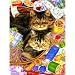 Measuring Up 1000pc Jigsaw Puzzle by Anne Mortimer