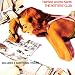 The Rotters' Club