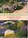 Australian Plants: For Gardens in the Sun