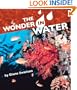 The Wonder in Water