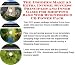 The Rich Man's Earn More Money, Marketing and Inner Game for Shopping Bags Internet Businesses 3 CD Power Pack
