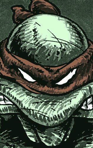  TMNT COLLECTED BOOK TP VOL 01 (Teenage Mutant Ninja Turtles Vol. 1)