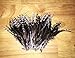Creative Angler Saddle Hackle for Fly Tying/Tying Flies (Grizzly)