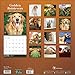TF Publishing 171006 Wall Calendar 2017, Golden Retrievers