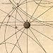 The Stellar Sea
