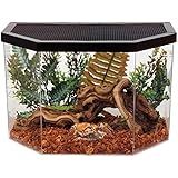 KollerCraft Repitat Flat-Backed Reptile Habitat, 5-Gallon