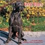 Great Danes 2010 Wall Calendar