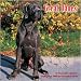 Great Danes 2010 Wall Calendar