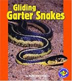 Gliding Garter Snakes (Pull Ahead Books)