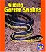 Gliding Garter Snakes (Pull Ahead Books) by Buffy Silverman