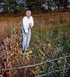 Fiskars 9663 Garden Hoe