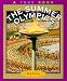 The Summer Olympics (True Books-Sports) by Bob Knotts