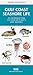 Book Gulf Coast Seashore Life (Pocket Naturalist Series)