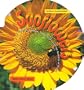 Sunflowers: Growing, Crafting, and Cooking With the Sunniest of Plants/Book and Sunflower Seeds