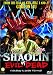 Shaolin Vs Evil Dead
