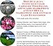 Book The Guerilla Marketing, Building Effective Lead Capture Web Pages, Affiliate Marketing for Antique Cars Businesses
