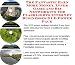 Book The Fantastic Earn More Money, Inner Game and Biz Networking for Flashlights Internet Businesses 3 CD Power Pack