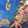 Seahorse
