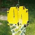 Spectracide: Bag-A-Bug Trap