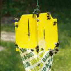 Spectracide: Bag-A-Bug Trap