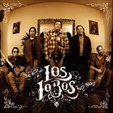 Music : Wolf Tracks: the Best of Los Lobos