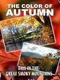 The Color of Autumn 