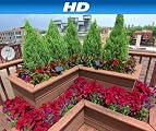 House Hunters [HD]: Rooftop Oasis in Chicago [HD]
