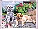 Paint by Numbers paint Set - Watching Dogs