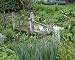 Photographic Prints of SG-20100 Wildlife garden - marshy bog from Ardea Wildlife Pets
