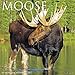 Moose 2017 Wall Calendar