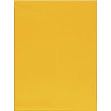 Columbian CO734 9-1/2x12-1/2-Inch Catalog Self-Seal Brown Kraft Envelopes, 250 Count