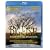 Big Fish [Blu-ray]