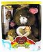 Golden Heart of Gold Care Bear Premier Collectors Edition