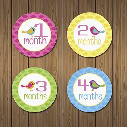 MyLilSprouts Birds Monthly Baby Girl Newborn MileStone Round Easy Peel Stickers 1 - 12 Months Set - Baby Shower Gift (Style 11)